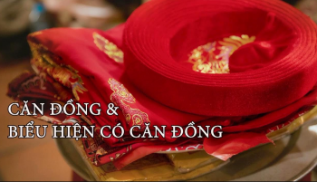 Trước khi mở phủ, cần lưu ý những gì? Hướng dẫn chi tiết và lưu ý quan trọng